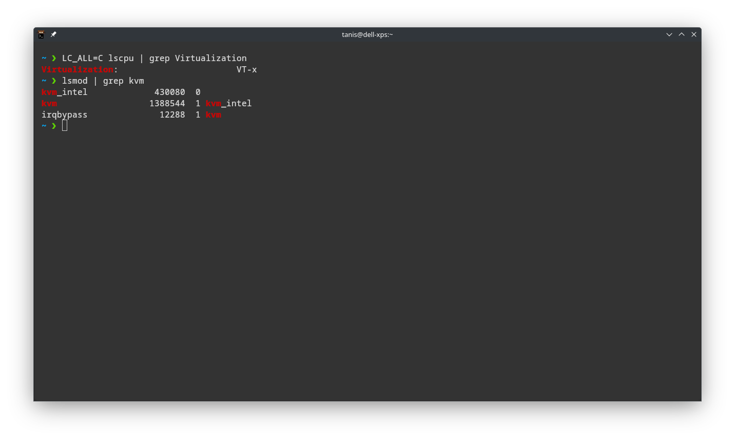 Hardware virtualization check output